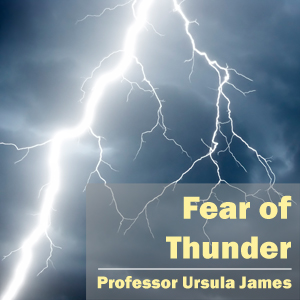 Fear of Thunder MP3