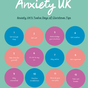 12 Days of Christmas Tips Booklet